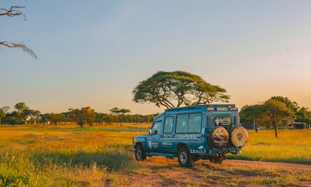 pexels-tanzania-wild-sky-986912744-20179680